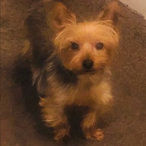 Meet your Posher, Darryl